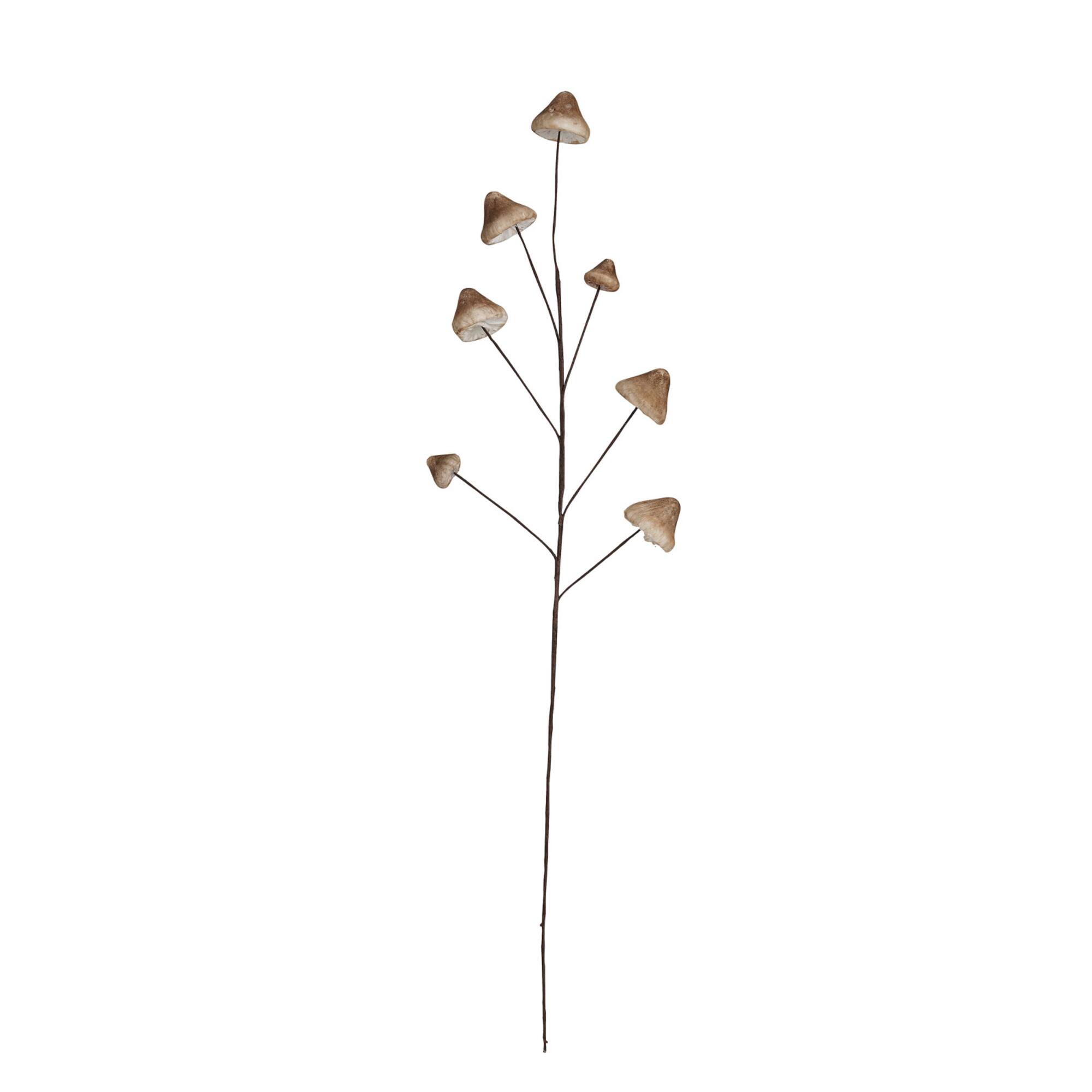 Hello Honey® 32" Brown Mushroom Spray